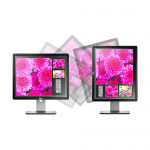 Dell P1917S 19 Inch Rotatable Square Professional LED Backlight IPS Panel Monitor (1)